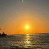 ziayd_18
