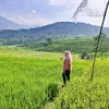 putritidur176