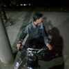 arianto43ver