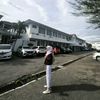 dindams_08