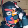 pyrobuster23
