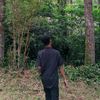 dapp_219