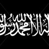hadiali86241