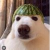 alontal_