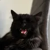 areyounotseriousrn