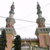 omadella10