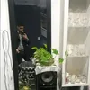 yo_le_pregunte_banda