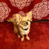 erin_5964
