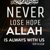 amin_0202