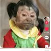jumsdmapi160