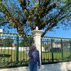 its_mezua