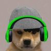 pets_the_raccoon