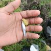 22.mei.25