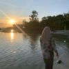 dahh_storyy