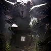 bvily5