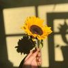 itsmesinaga