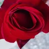 anasawat171