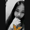 dde_araa01