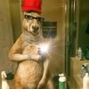 juanb9985