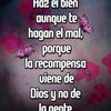 wilfridolopez438