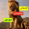 mootalib1