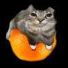 cat_laying_on_orange