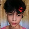 arbenbriones