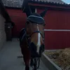 astridaahn