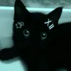 p4wsndcharm._