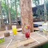 kikycikinoy
