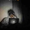isomon2