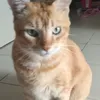 hsganaufqjqyqva