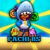 pachi_bs_of_