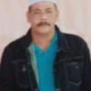 abgpin73