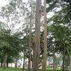 sandracm2508