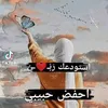 dydzsb04o531