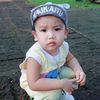 tree_talar