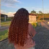 vivian.allarcon