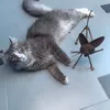 josephsdarna