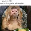 cruzdominguez709