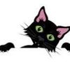 catwhiskerskisses