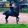 miguellopez7318