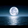 hamoody71260