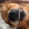 robertaheloisa