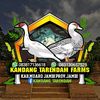 kandang_tarendam farms