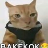 bakekok😜😹