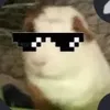 duqeqe