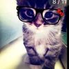kittykw12