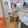 audinadnk5