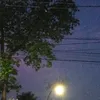 nanda_anjin_br